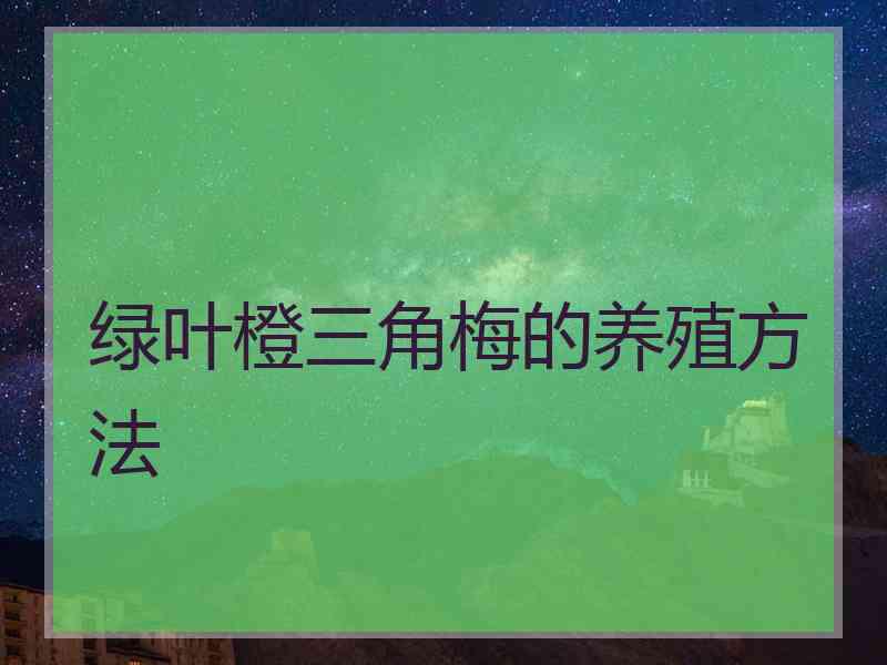 绿叶橙三角梅的养殖方法