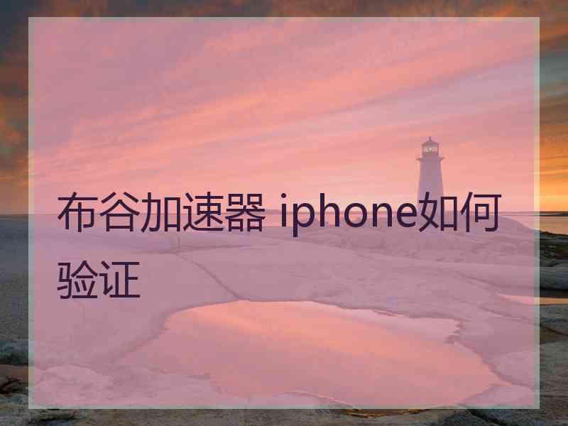 布谷加速器 iphone如何验证