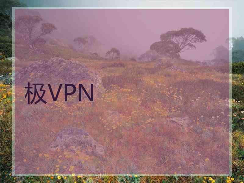 极VPN