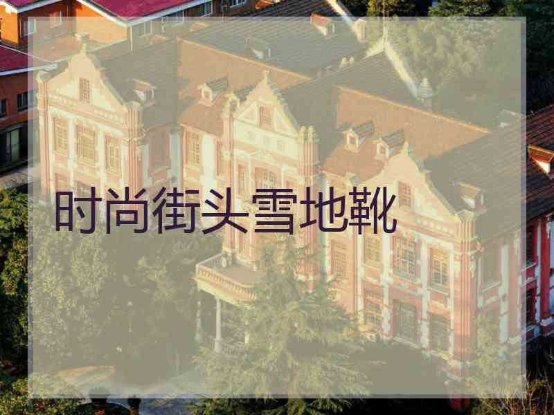 时尚街头雪地靴