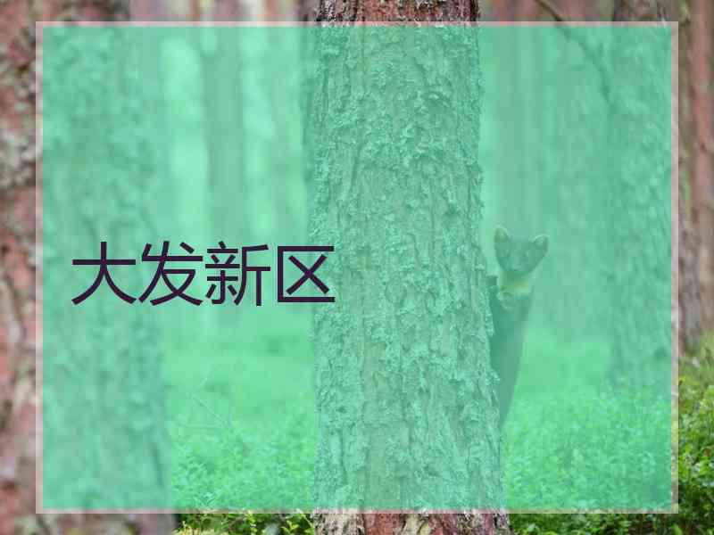 大发新区