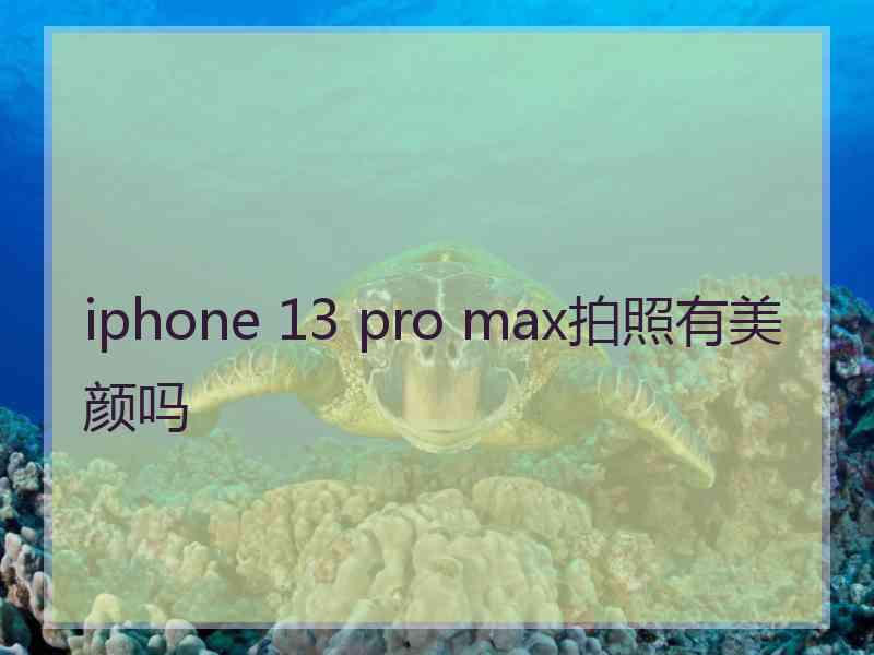 iphone 13 pro max拍照有美颜吗