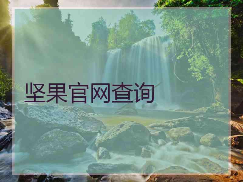 坚果官网查询