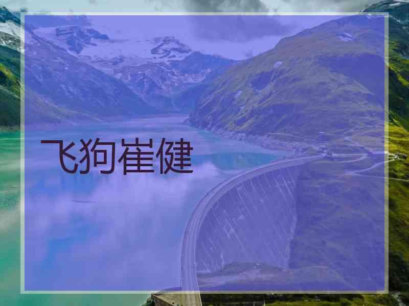 飞狗崔健