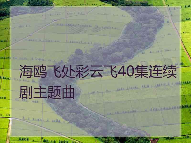 海鸥飞处彩云飞40集连续剧主题曲