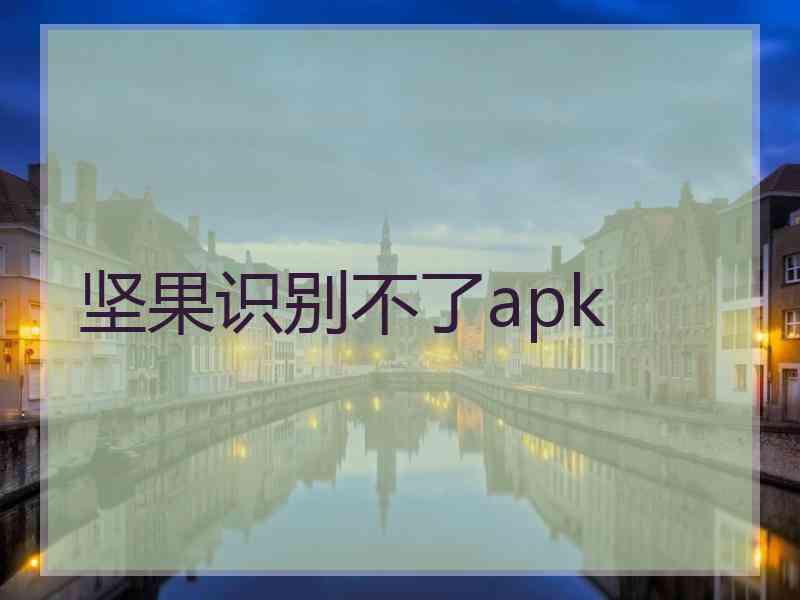 坚果识别不了apk