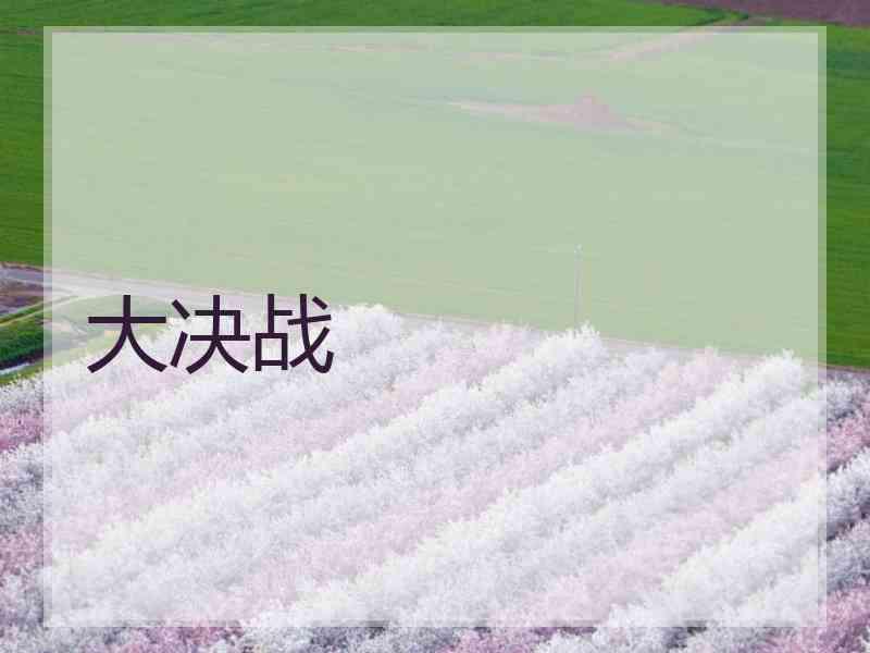 大决战