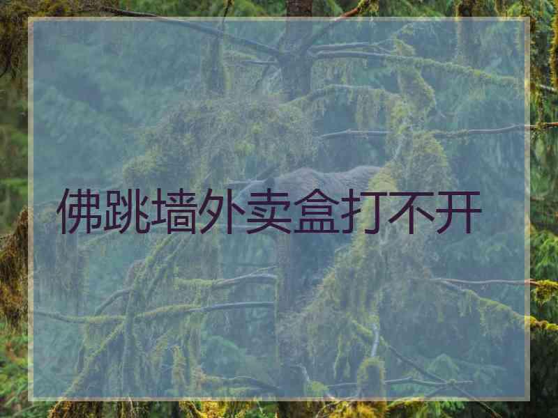 佛跳墙外卖盒打不开
