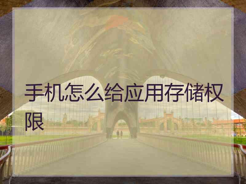 手机怎么给应用存储权限