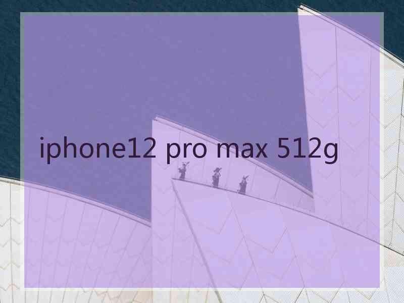 iphone12 pro max 512g