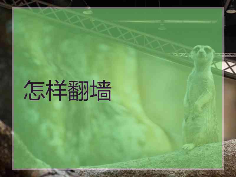 怎样翻墙