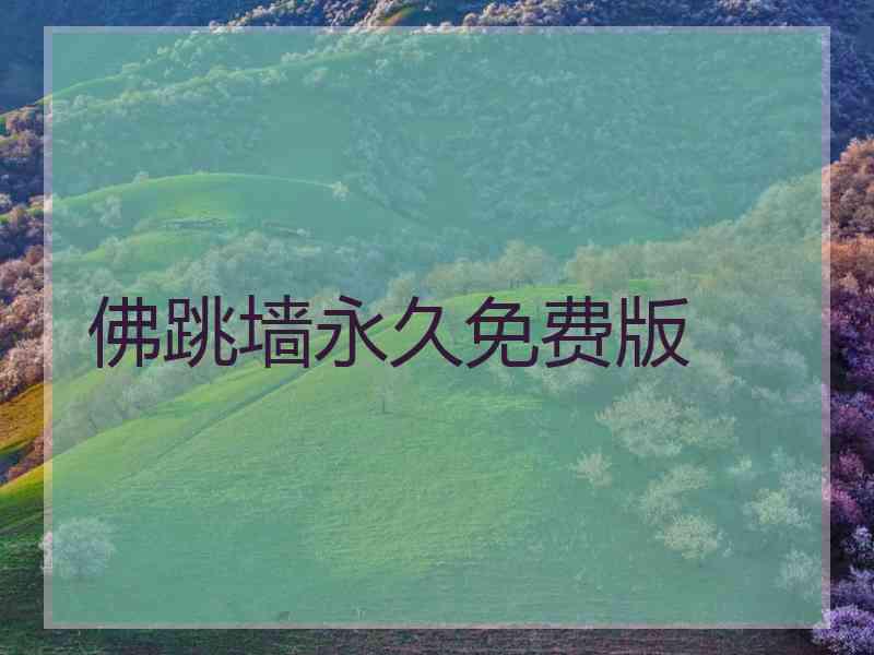 佛跳墙永久免费版