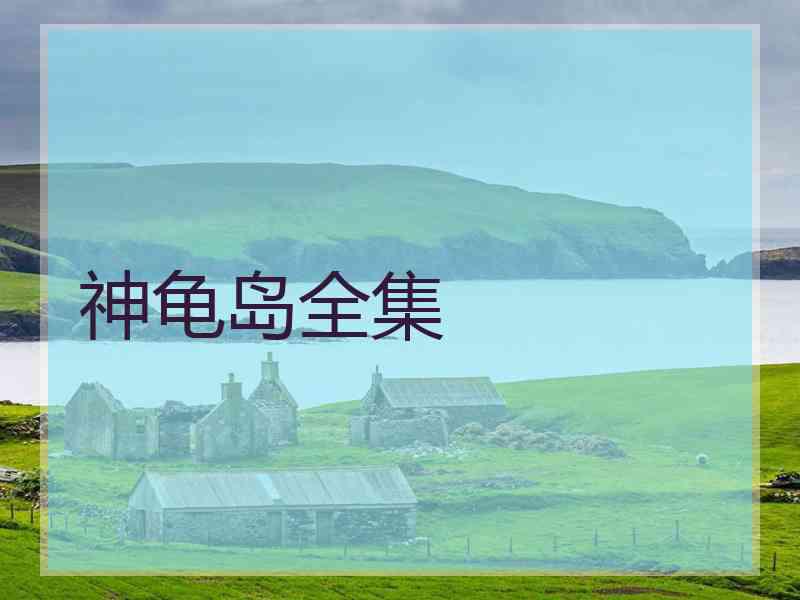 神龟岛全集