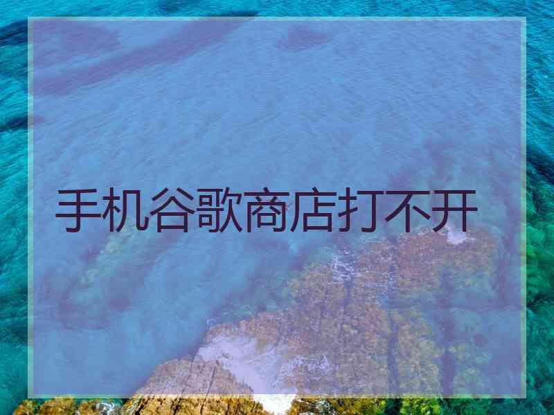 手机谷歌商店打不开