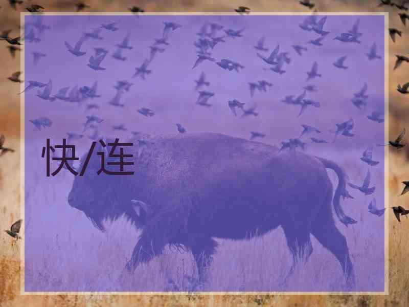 快/连
