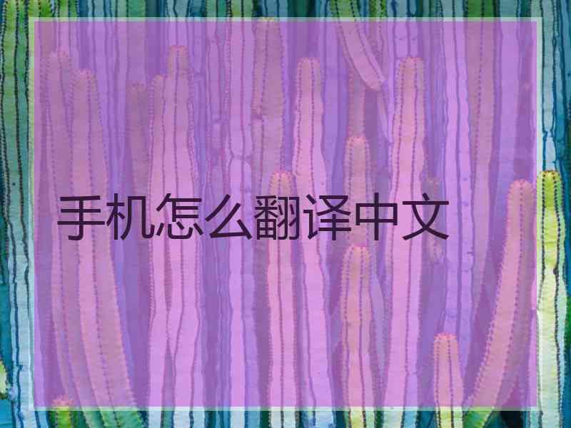 手机怎么翻译中文