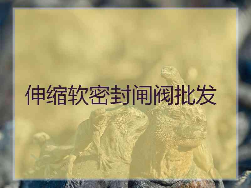 伸缩软密封闸阀批发
