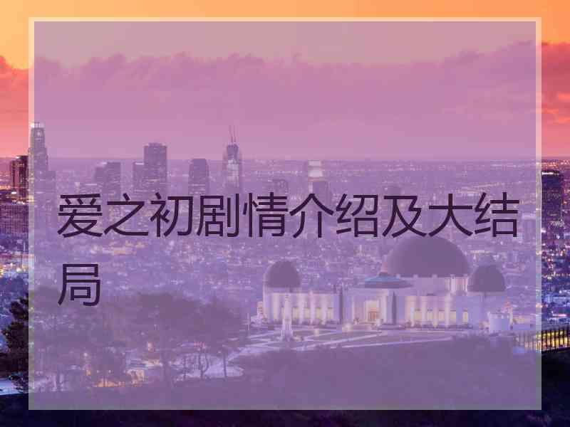 爱之初剧情介绍及大结局