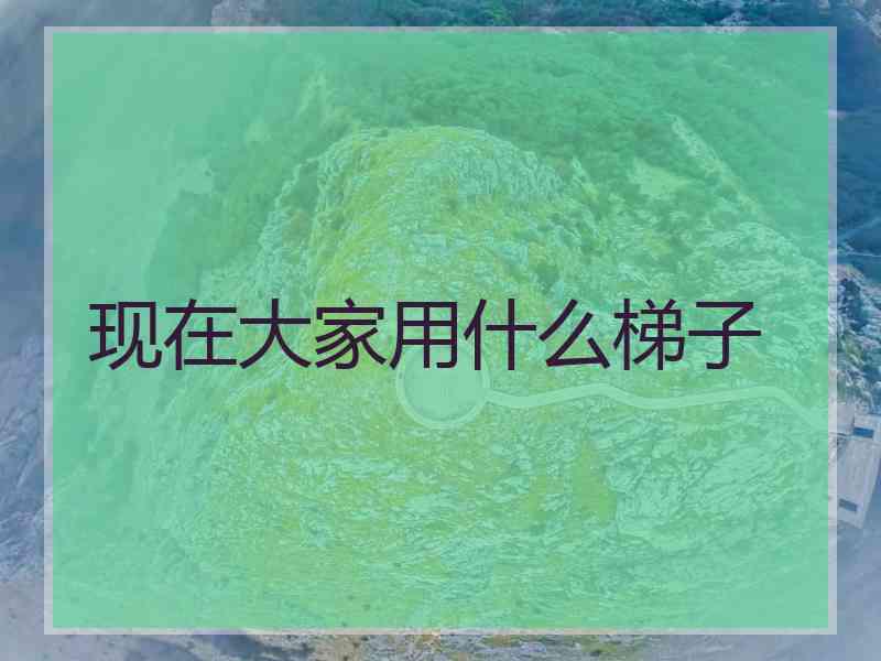 现在大家用什么梯子