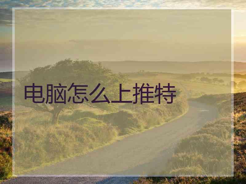 电脑怎么上推特