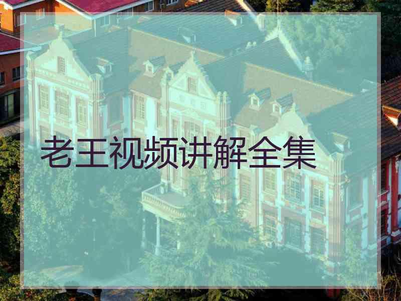 老王视频讲解全集