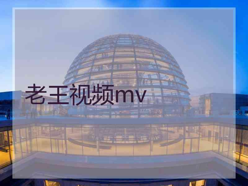 老王视频mv
