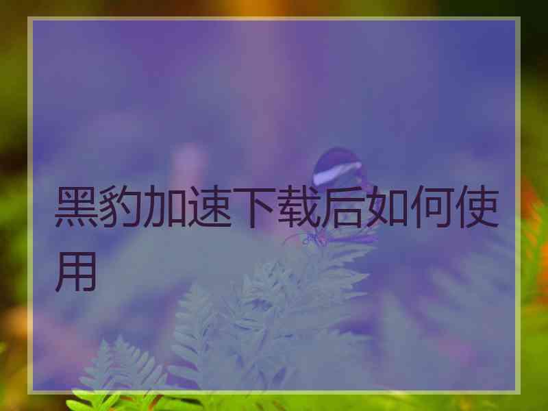 黑豹加速下载后如何使用