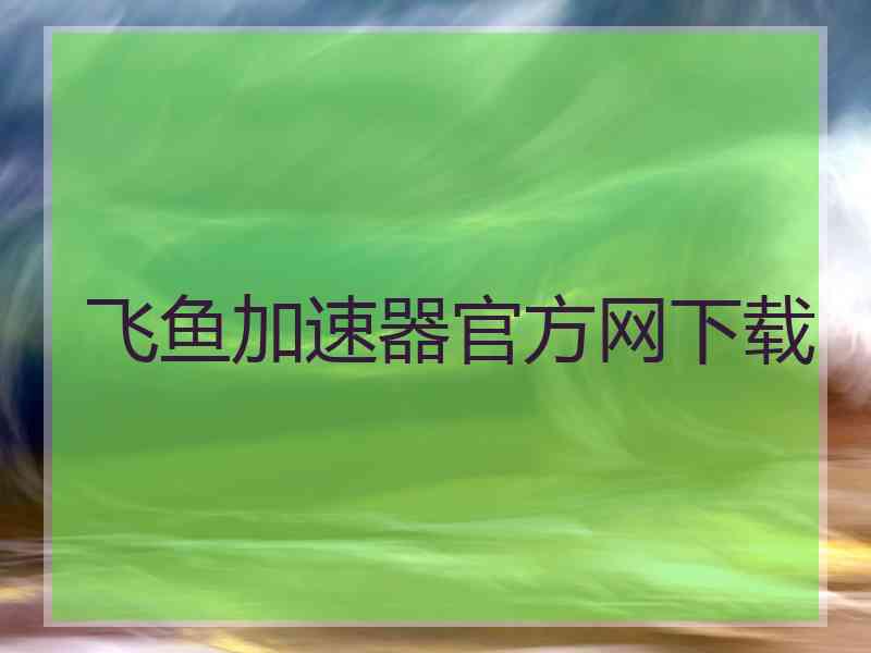 飞鱼加速器官方网下载