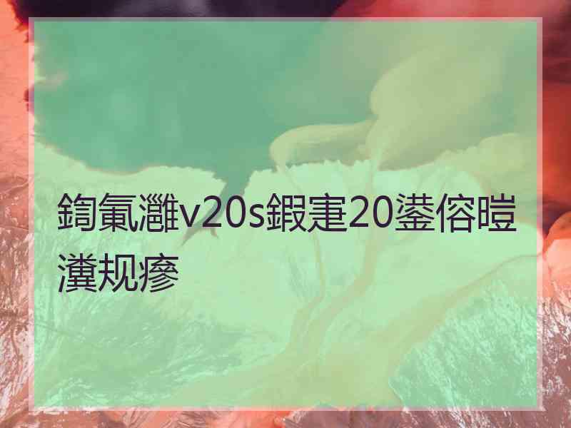 鍧氭灉v20s鍜寁20鍙傛暟瀵规瘮