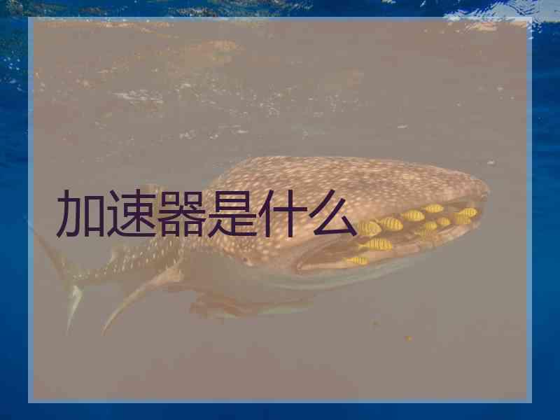 加速器是什么