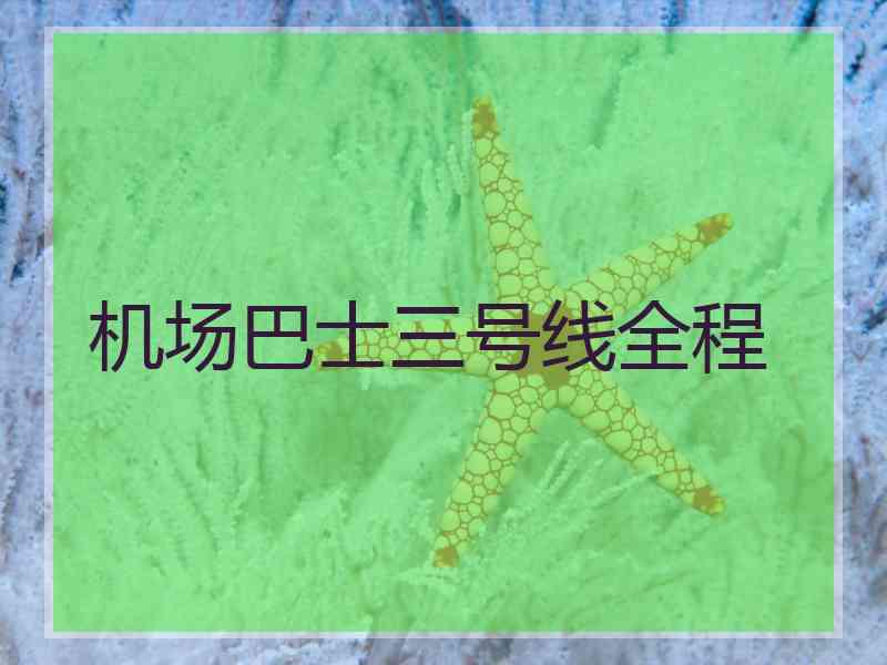 机场巴士三号线全程
