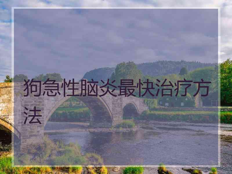 狗急性脑炎最快治疗方法