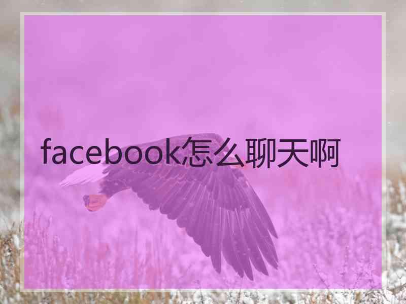 facebook怎么聊天啊