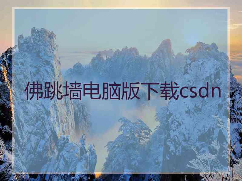 佛跳墙电脑版下载csdn