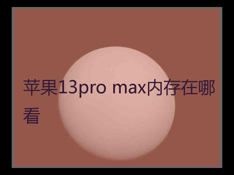 苹果13pro max内存在哪看