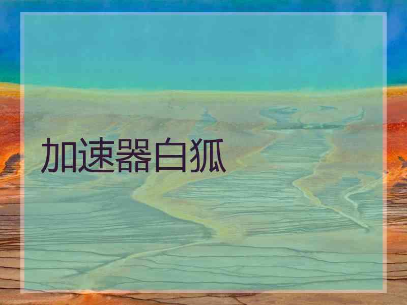 加速器白狐