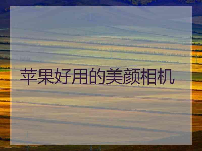 苹果好用的美颜相机