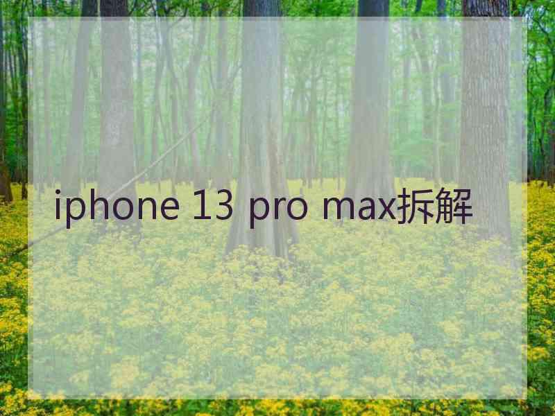 iphone 13 pro max拆解