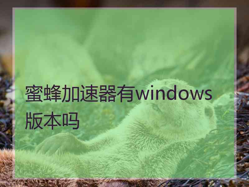 蜜蜂加速器有windows版本吗