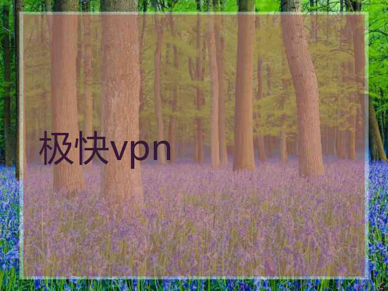 极快vpn
