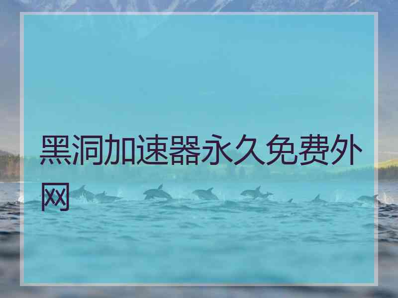 黑洞加速器永久免费外网