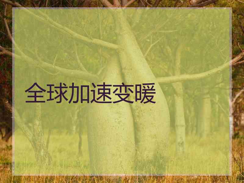 全球加速变暖