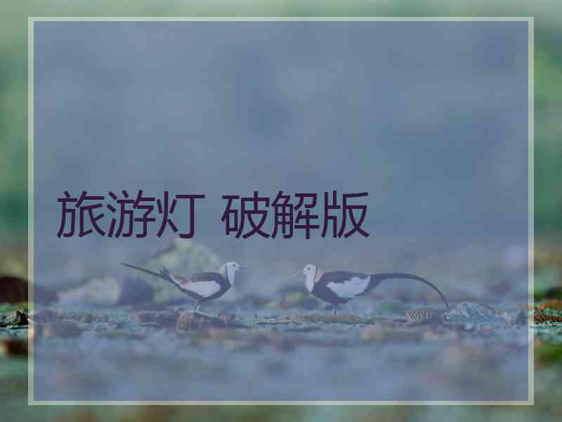 旅游灯 破解版