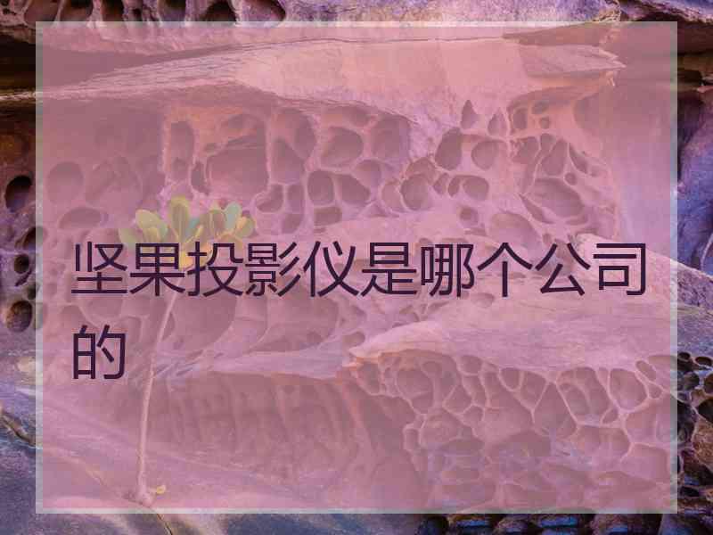 坚果投影仪是哪个公司的