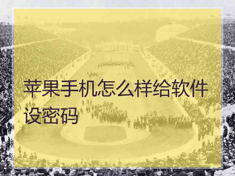 苹果手机怎么样给软件设密码
