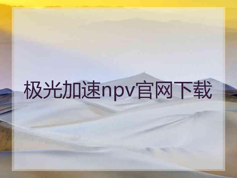 极光加速npv官网下载