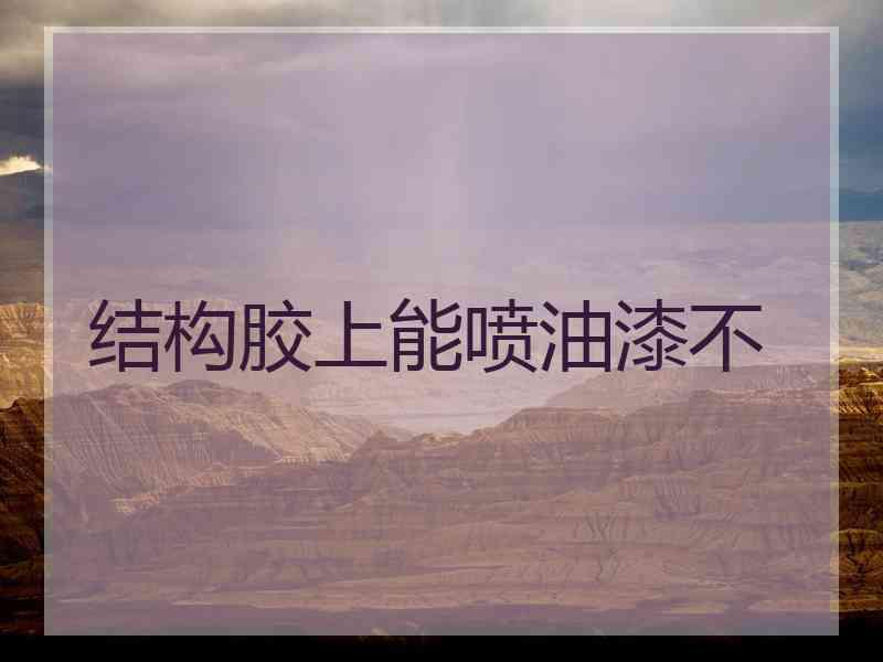 结构胶上能喷油漆不