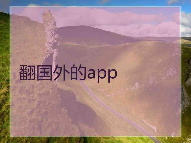 翻国外的app