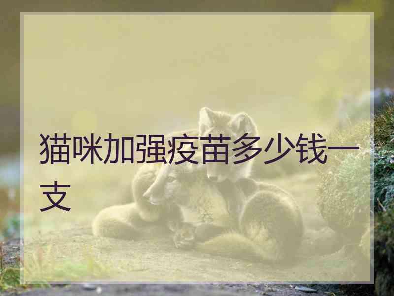 猫咪加强疫苗多少钱一支