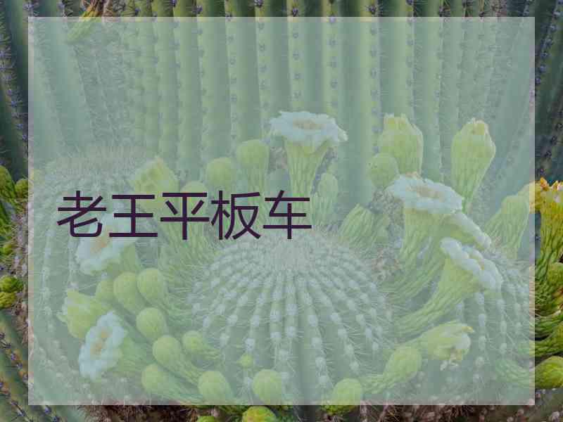 老王平板车